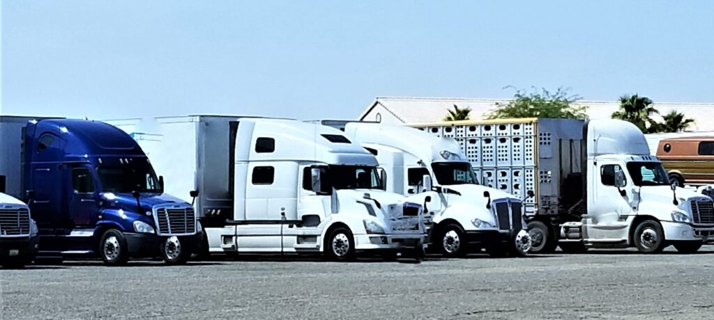 Professional Service, Proven Results